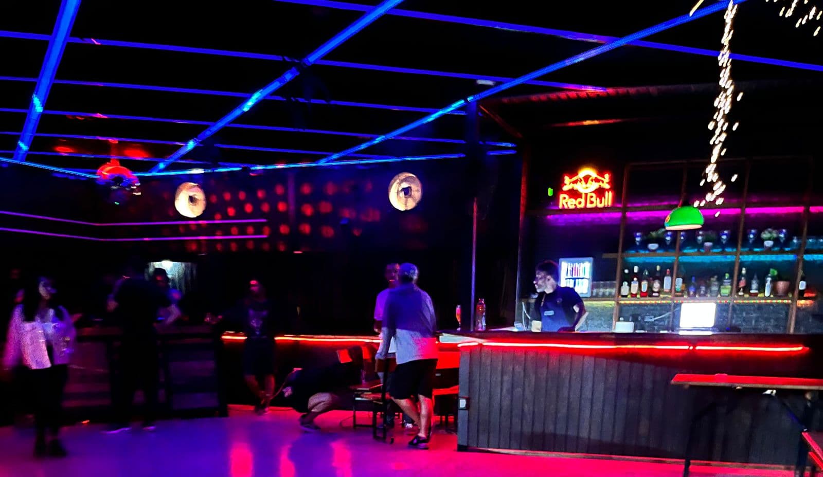 Pinguino Club - Portada de eventos